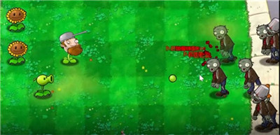 大夫大战僵尸荔枝版 大夫大战僵尸荔枝版