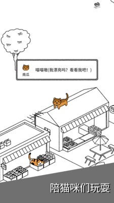 猫咪真的超可爱app最新下载