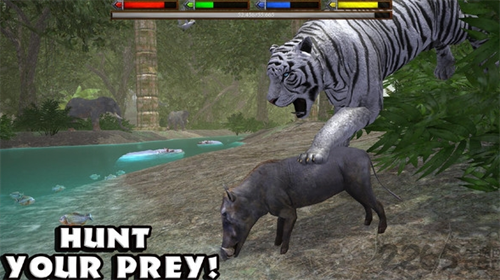 野生动物模拟器破解版安卓下载安装