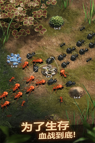 蚂蚁窝模拟器ios手机版