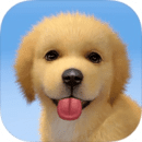 梦幻小狗下载宝船手机版