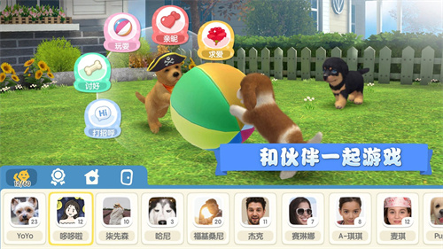 梦幻小狗下载宝船手机版