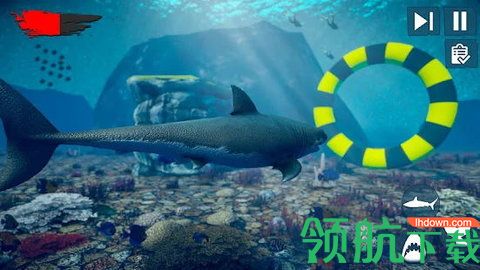 愤怒鲨鱼木筏生存最新版