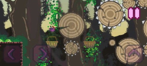 紫鸡2023版安卓版