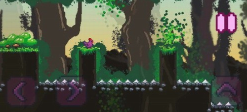 紫鸡2023版安卓版