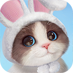 我和我的猫下载最新版