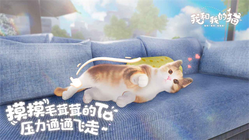 我和我的猫下载最新版