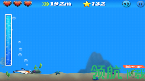 跳跃海豚大冒险正式版