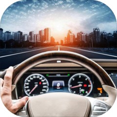 城市开车模拟器免费版苹果版