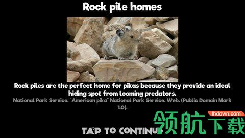 鼠兔的生活中文版