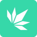 琴叶小说下载手机版