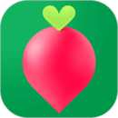 叮咚买菜下载苹果app