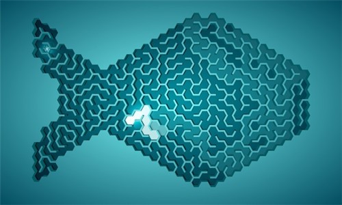 迷宫光之路app下载最新版