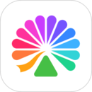 大麦下载手机app