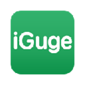 iGG谷歌访问助手最新版