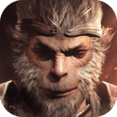 圣光与荣耀下载安卓版