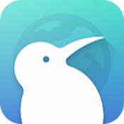 kiwibrowser浏览器安卓版