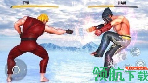 功夫街战斗英雄正式版