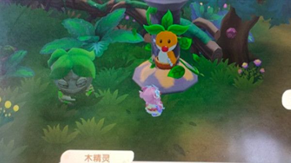 摩尔庄园木灵珠获取方法介绍