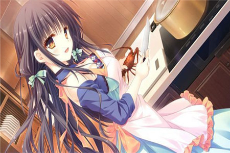 少女领域安卓版下载