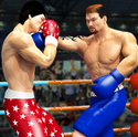 拳击明星赛2023下载安卓版