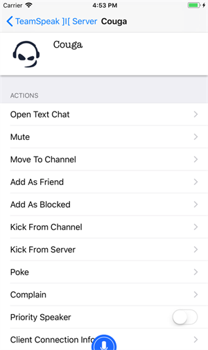 teamspeak手机版下载