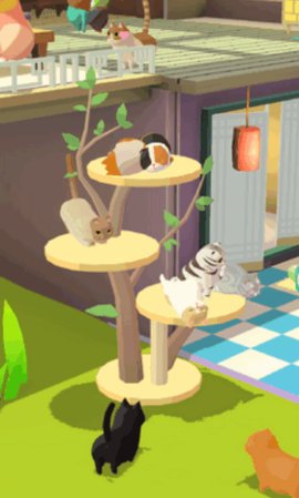 我需要猫咪游戏免费版