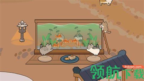 懒懒猫咪村庄完整版