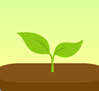 专注森林专业版免费下载