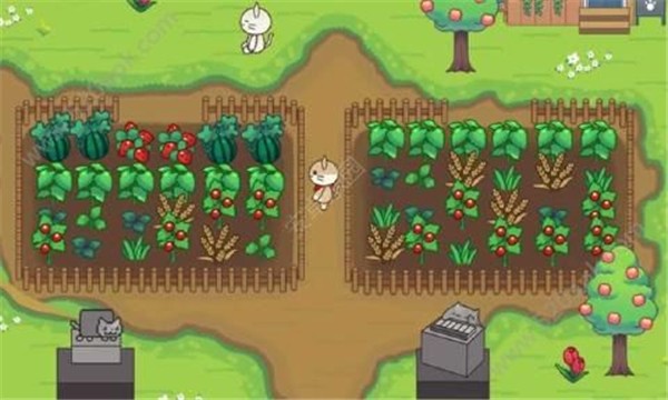 猫咪之森中文版