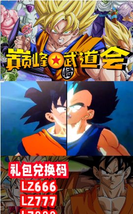 巅峰武道会免费版