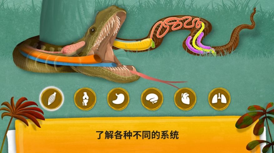 动物如何生活下载ios版本