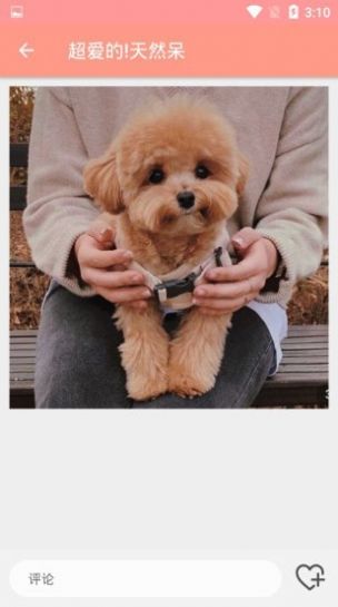 萌物集下载安装最新版