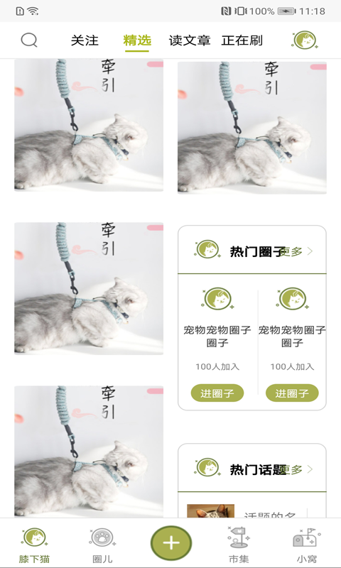 膝下猫手机下载安装