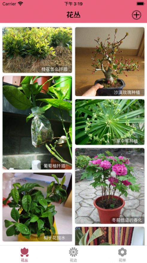 花丛社ios手机下载