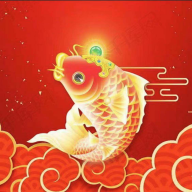 鲤上往来下载安装手机版