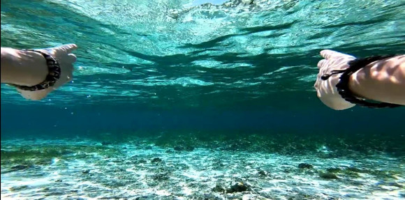 通缉者ios免费下载