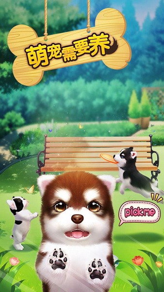 萌宠需要养下载2023版
