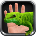 蜥蜴手搞笑恶作剧app下载安卓版