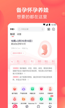 旧版宝宝树孕育下载官方