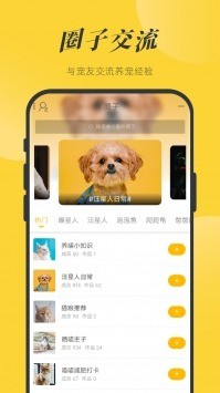 一宠星球app最新版下载