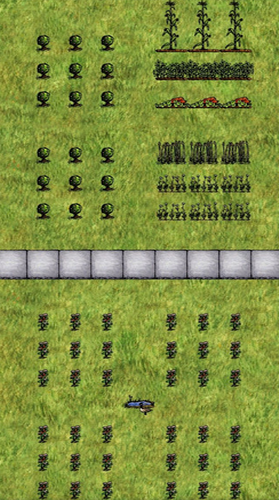 希望之村破解版下载2022最新版2023下载