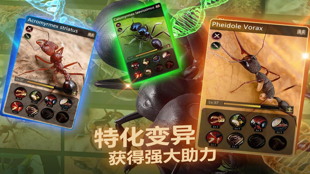 小小蚁国2023下载安卓