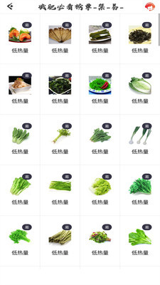 瘦瘦app官方手机版下载