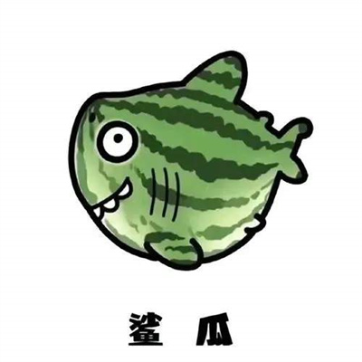 鲨鱼简笔画表情包2023安卓版下载