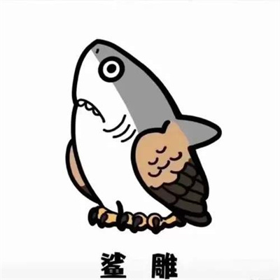 鲨鱼简笔画表情包2023安卓版下载