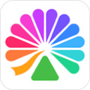 大麦网官网订票app