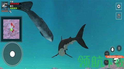 深海大鱼吃小鱼官方版