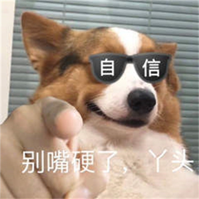 指人专用表情包下载最新版本