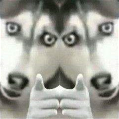 指人专用表情包下载最新版本